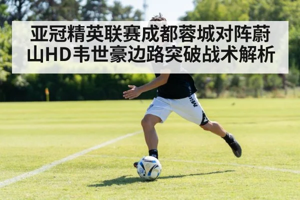 亚冠精英联赛成都蓉城对阵蔚山HD韦世豪边路突破战术解析