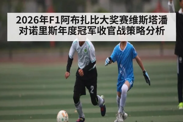 2026年F1阿布扎比大奖赛维斯塔潘对诺里斯年度冠军收官战策略分析